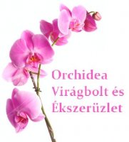 orchidea-logo