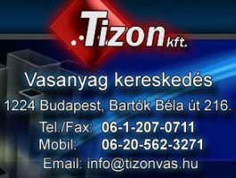 tizon-logo_0
